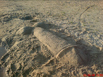 Fotoblog janzbedny