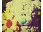 Fotoblog innocence18