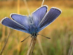 Fotoblog larivexxxxx