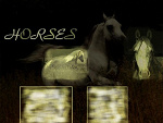 Fotoblog koniara971