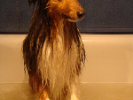 Fotoblog stanus