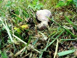 Fotoblog sabiria