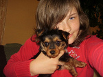 Fotoblog kwiatuszekk097
