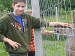 Fotoblog piotreekk