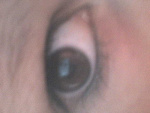 Fotoblog hoogie