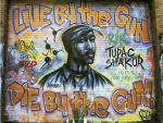 Fotoblog gangstaxunit