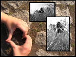 Fotoblog gorgona