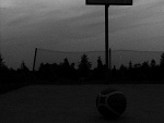 Fotoblog kofffanedwie