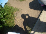 Fotoblog misqqq