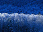 Fotoblog mjakmartka
