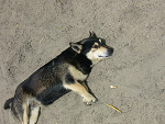 Fotoblog aniukaska