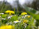 Fotoblog cosikowo