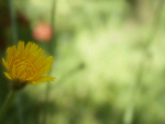 Fotoblog maat666