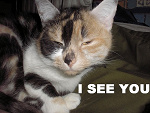 Fotoblog spoil