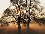 Fotoblog 19daagaa95
