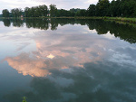 Fotoblog wildrrrose
