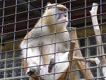Fotoblog ouuch