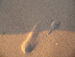 Fotoblog olcia2316