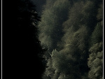Fotoblog lovestoryy