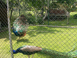 Fotoblog martusiaa17