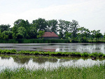 Fotoblog mlodexwilki