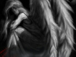 Fotoblog wing0angel