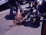 Fotoblog myblivion
