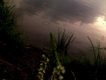 Fotoblog marqai