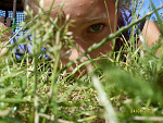 Fotoblog neww