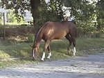 Fotoblog apj1976