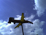 Fotoblog xxblackrosesxx