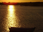 Fotoblog iwcik111