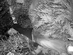 Fotoblog djibril