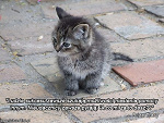 Fotoblog ktosios