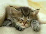 Fotoblog adula153