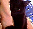 Fotoblog angelka20