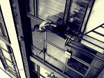 Fotoblog 2glupiutkie2