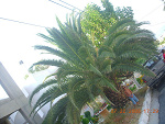 Fotoblog lukasxx