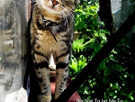 Fotoblog emika14
