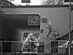 Fotoblog xpaulinax22