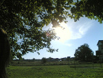 Fotoblog monisiaa07