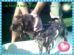 Fotoblog jadzia8989