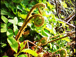 Fotoblog lenciaa16