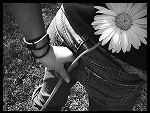 Fotoblog natu1994