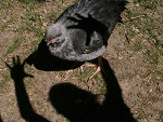 Fotoblog mrozmi