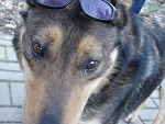 Fotoblog domcia13didi
