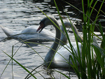 Fotoblog ecopac