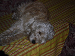 Fotoblog adrianek1998ros