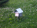 Fotoblog zulzpodbiedronki