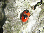 Fotoblog june7